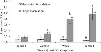 Endophytic Colonization of Onions Induces Resistance Against Viruliferous Thrips and Virus Replication